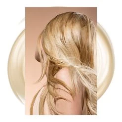 René Furterer Shampoing Nutrition Intense "Karité Nutri" - Pour Cheveux Très Secs (600ml/20,29oz)